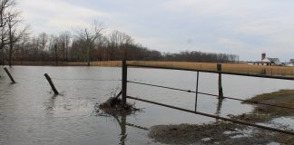 flooded pasture