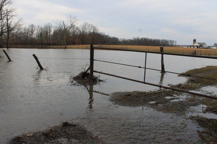 flooded pasture flooded pasture
