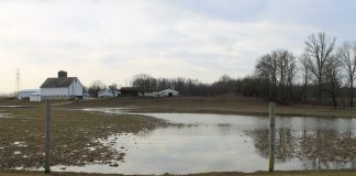 flooded pasture