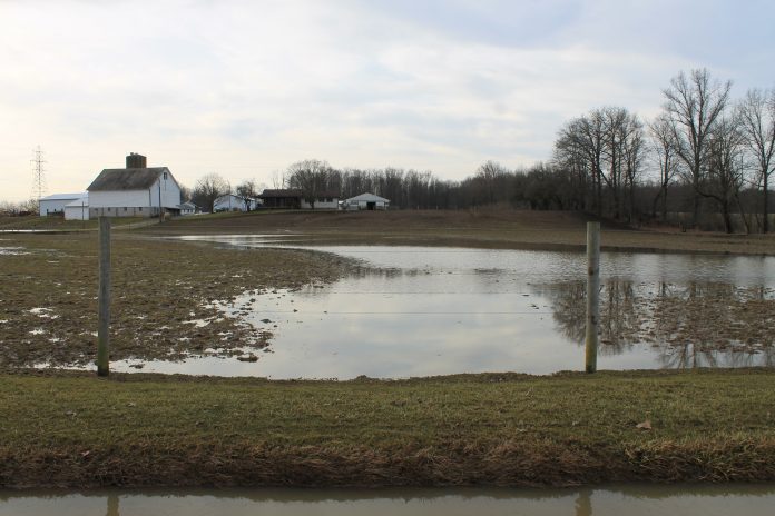 flooded pasture flooded pasture