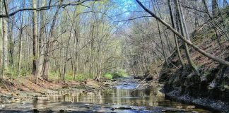 river