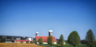 Pennsylvania farm