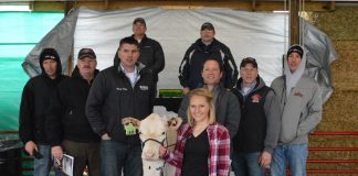 Ohio Holstein sale