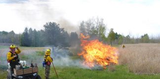 controlled burns