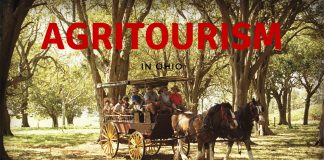 Agritourism Banner