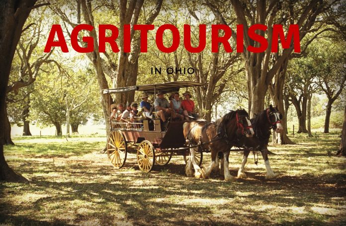 Agritourism Banner Agritourism Banner