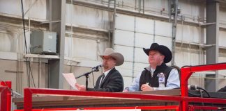 Beef Expo auction