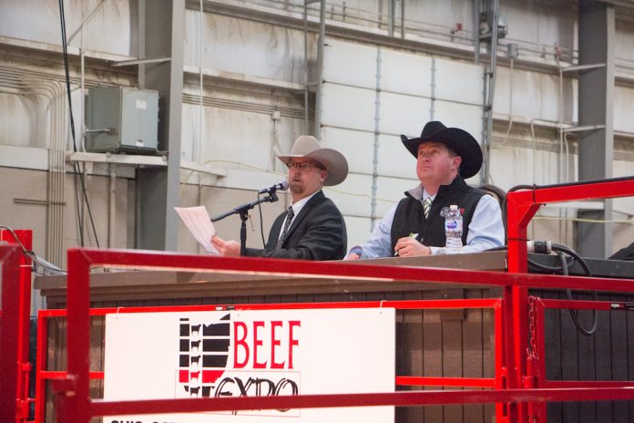 Beef Expo auction Beef Expo auction