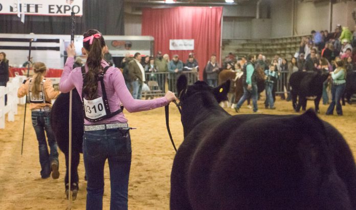 Beef Expo header Ohio Beef Expo