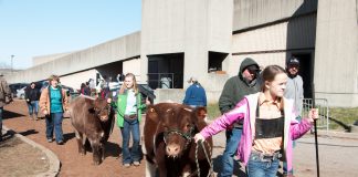 Beef Expo show lineup