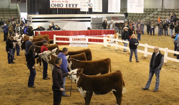 Ohio Beef Expo Ohio Beef Expo