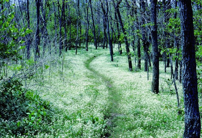 Appalachian Trail Appalachian Trail