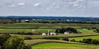 farmland