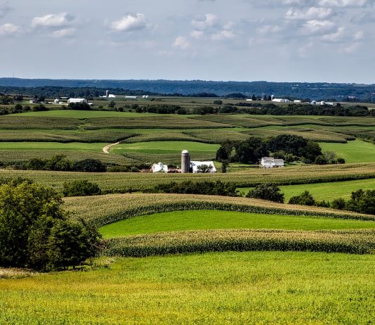 farmland