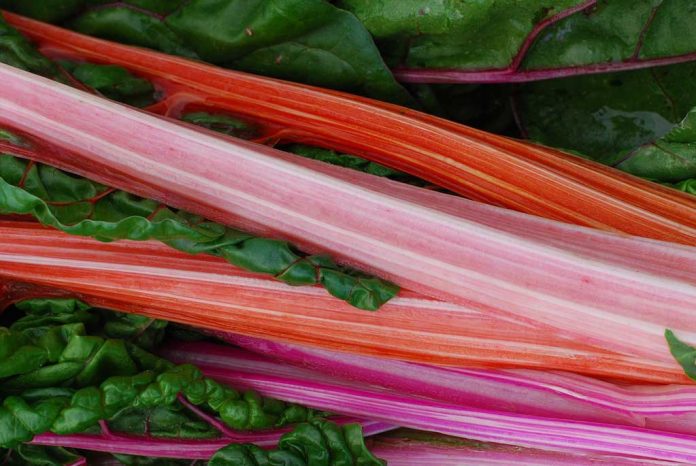rhubarb