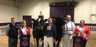 2018 Pennsylvania dairy show