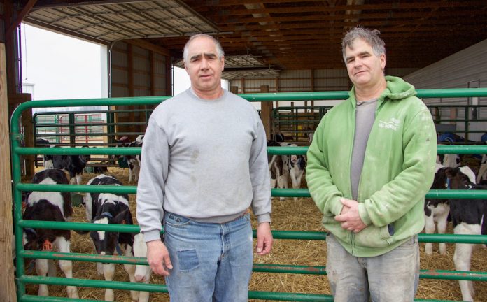 Erf farm kevin and steve Kevin and Steven Erf