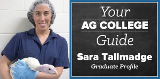 Sara Tallmadge