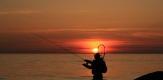 angler