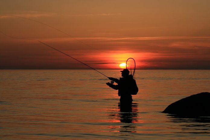angler angler