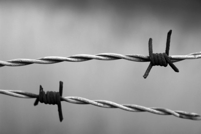 barbed wire barbed wire