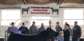 Bodnar Northern Classic