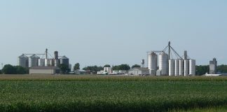 Farm