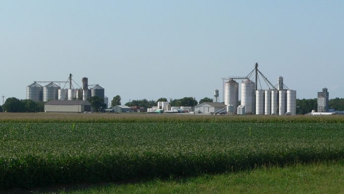 Farm Farm
