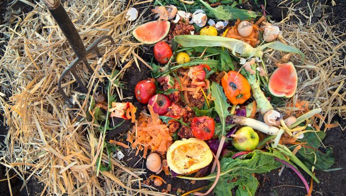 composting waste composting waste