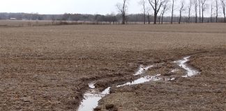 Field runoff