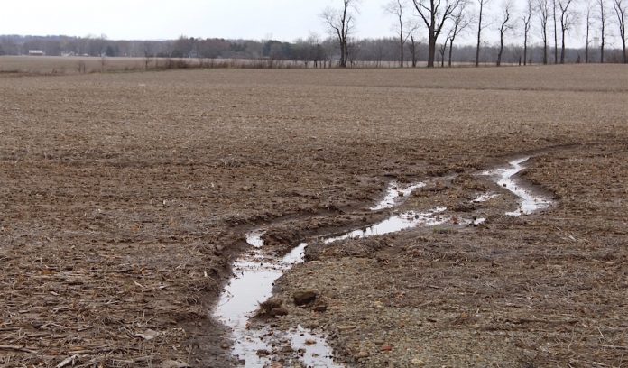 runoff Field runoff