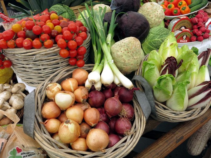 vegetables vegetables