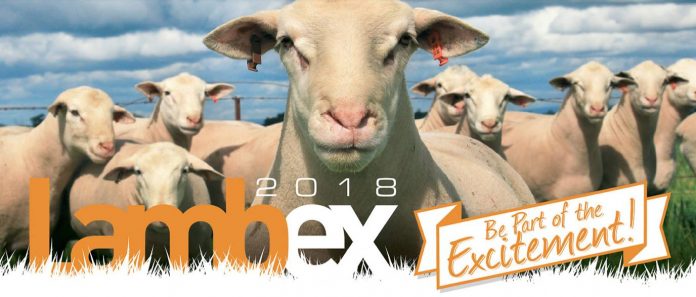 LambEx LambEx