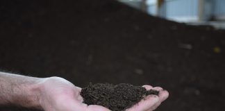 compost