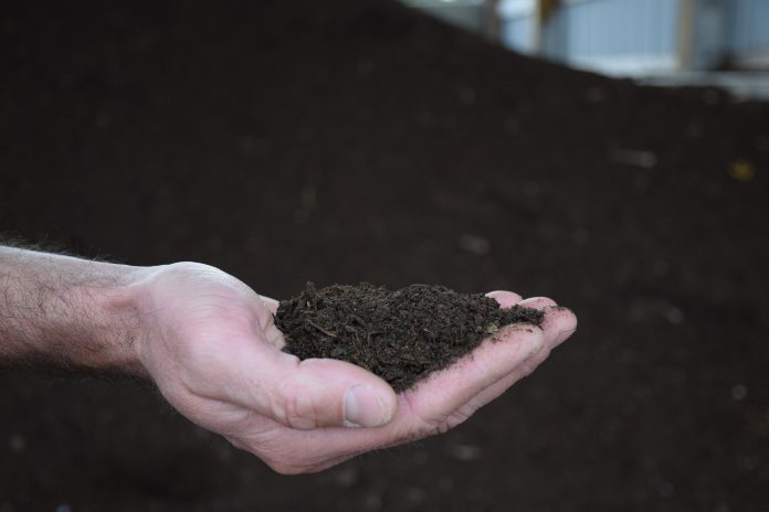 compost compost