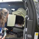 Evaluating an eglet