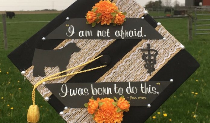 Hannah Jarvis decorated cap Hannah Jarvis decorated cap