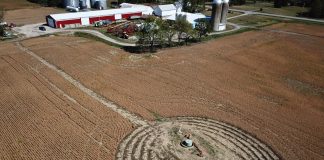 TransCanada mowing