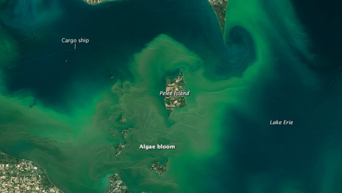 Lake Erie algae bloom Lake Erie algae bloom