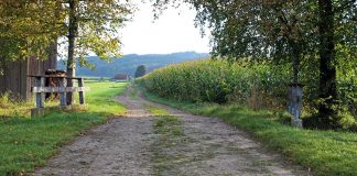 farmland