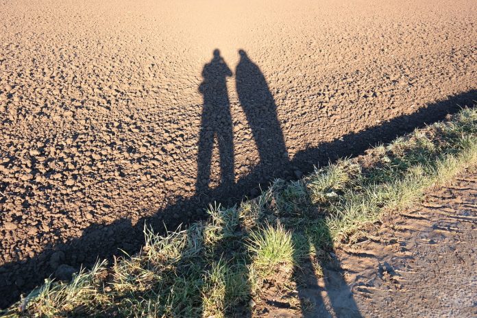 farmer shadow farmer shadow