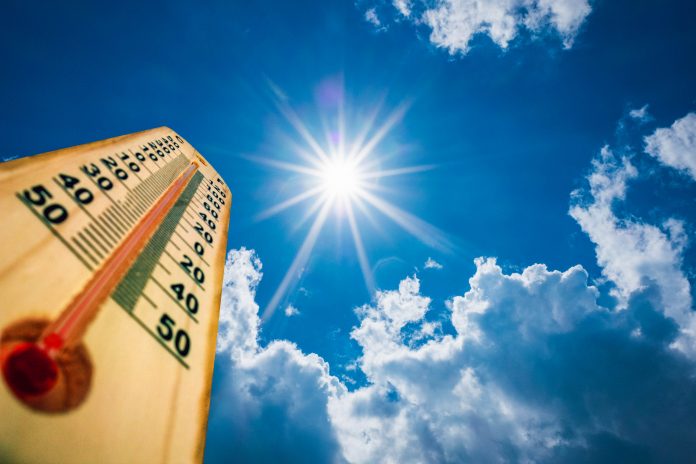 thermometer thermometer