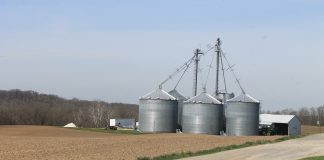 Spillman Grain Farm