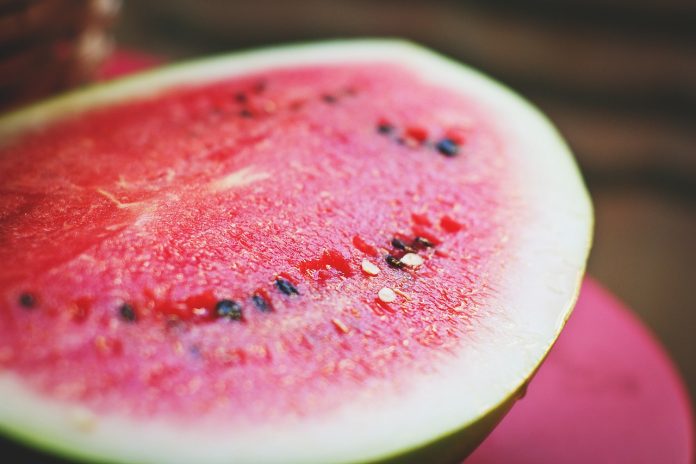 watermelon watermelon
