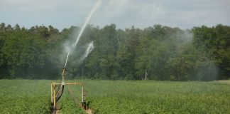 potato field irrigation system