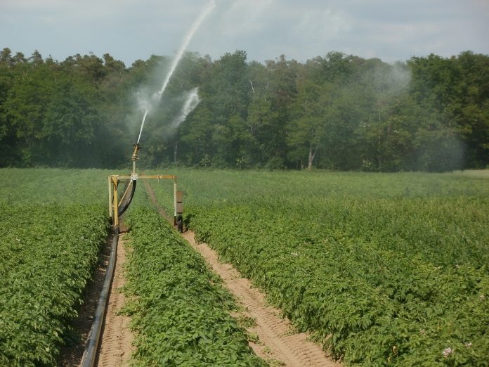 potato field irrigation system potato field irrigation system