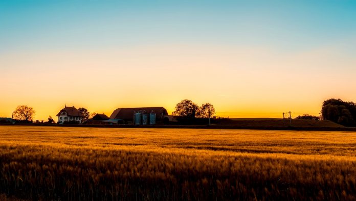 farm sunset