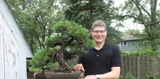 Bonsai