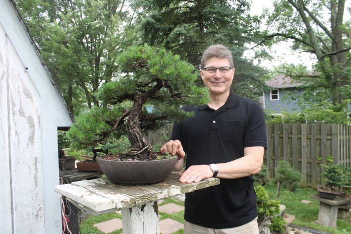 Bonsai Bonsai