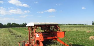 Hay baler